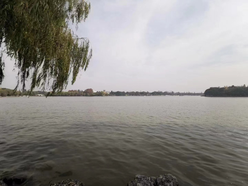 你想知道的公證遺囑法律法規，坪山律師事務已整理好