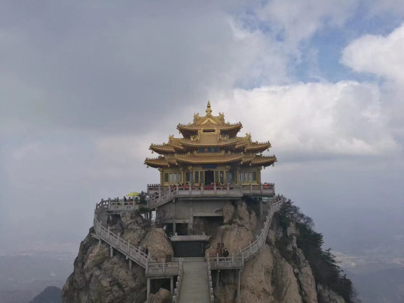 在自家土地上建生態園？深圳拆遷補償標準網:可能涉嫌非法占用土地