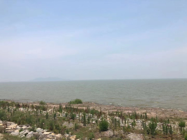 深圳專業(yè)律師告訴您在拆遷房屋內(nèi)居住事實具有高度蓋然性補償款怎么分