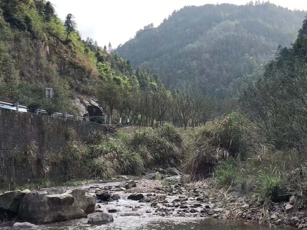 深圳房產糾紛律師為您解答房產繼承中的公證流程是怎樣的