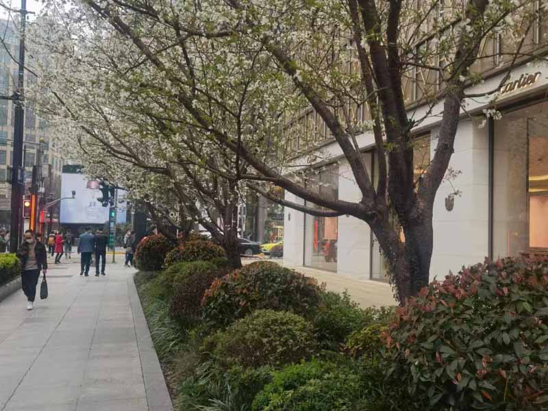 深圳知名離婚律師為您解答夫妻離婚后房產(chǎn)過(guò)戶的流程是怎樣的