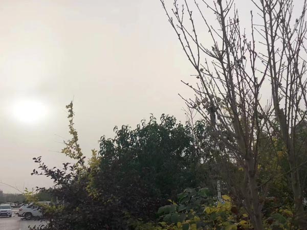 深圳著名的律師來講講掛靠車輛發(fā)生交通事故責任應該由誰承擔