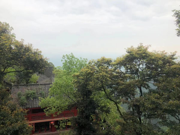 福田刑事律師發(fā)現(xiàn)了非吸案件成功取保的秘密